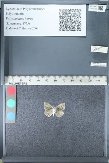 Media type: image;   Entomology 155230